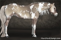 Horse Color:White Spotted Silver Smoky Blue Onyx 