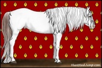 Horse Color:Bay Sabino Varnish 