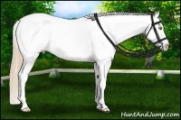 Horse Color:Gold Champagne Splash Snowflake Varnish