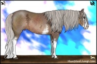 Horse Color:White Spotted Silver Brown Ice Sabino Splash Rabicano