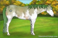 Horse Color:Watercolor Buckskin Ice Splash 