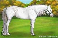 Horse Color:Nacre White Spotted Bay Splash 