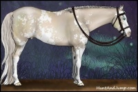 Horse Color:Chocolate Palomino Pearl Sabino Splash 