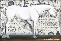 Horse Color:Silver Grullo Chinchilla Splash Appaloosa 