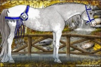 Horse Color:Liver Chestnut Sabino Snowcap Rabicano