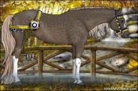 Horse Color:Chocolate Palomino 