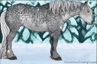 Horse Color:White Spotted Silver Black Chinchilla Sabino 