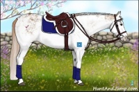 Horse Color:Red Dun Sabino Splash 