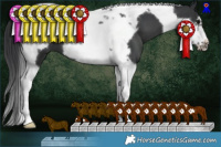 Horse Color:Black Tobiano Frame