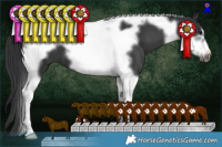 Horse Color:Black Tobiano Frame 