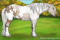 Horse Color:White Spotted Silver Buckskin 