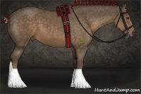 Horse Color:Chocolate Palomino