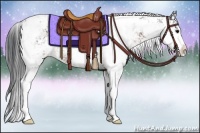 Horse Color:Brown Sabino