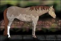 Horse Color:Chestnut Ice 