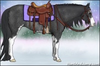 Horse Color:Black Sabino Rabicano 