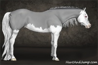 Horse Color:Silver Bay Chinchilla Splash 