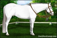 Horse Color:White Spotted Brown Roan Varnish 