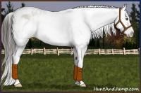 Horse Color:White Spotted Liver Red Dun Splash Varnish