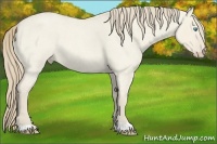 Horse Color:Smoky Creme Roan Dun 