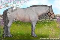 Horse Color:Brown Ice Roan Varnish 