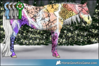 Horse Color:White Spotted Silver Sable Champagne Dun Sabino Splash Appaloosa 