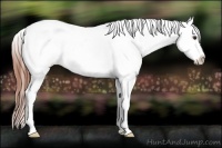 Horse Color:Bay Dun Splash Tobiano Varnish 