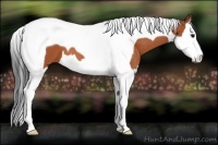 Horse Color:Bay Splash Tobiano