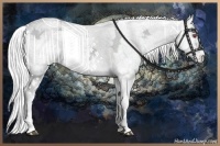 Horse Color:White Spotted Liver Red Onyx Chinchilla Ice