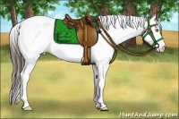 Horse Color:Classic Cream Champagne Dun Splash Tobiano 