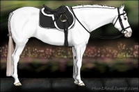 Horse Color:Chestnut Tobiano Blanket Rabicano 