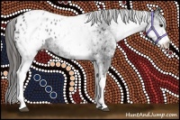 Horse Color:White Spotted Black Appaloosa