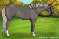 Horse Color:Silver Black Frame