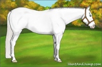 Horse Color:White Spotted Silver Sable Champagne Dun Snowcap