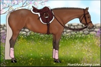 Horse Color:Silver Bay