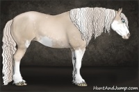 Horse Color:Chocolate Palomino Pearl Sabino