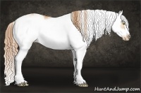 Horse Color:Bay Pearl Sabino Splash Frame