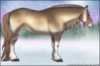 Horse Color:Chocolate Palomino Onyx