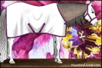 Horse Color:Buckskin Splash Appaloosa 