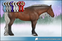 Horse Color:Liver Chestnut Mushroom 