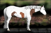 Horse Color:Bay Splash Tobiano Rabicano