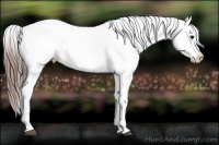 Horse Color:Grullo Leopard 
