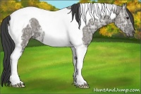 Horse Color:Smoky Grullo Ice Tobiano 