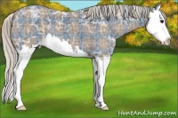 Horse Color:Plaid Silver Black Ice Sabino Splash