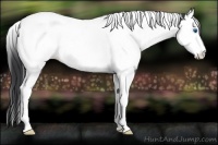 Horse Color:Black Splash Tobiano 