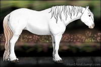 Horse Color:White Spotted Red Dun Varnish 