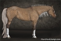 Horse Color:Silver Bay Dun 