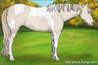 Horse Color:Smoky Creme Tobiano Rabicano