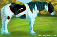 Horse Color:Thunderstruck Brown Ice Pearl Splash Appaloosa 