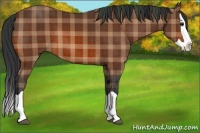 Horse Color:Plaid Bay Splash