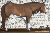 Horse Color:White Spotted Liver Chestnut Rabicano